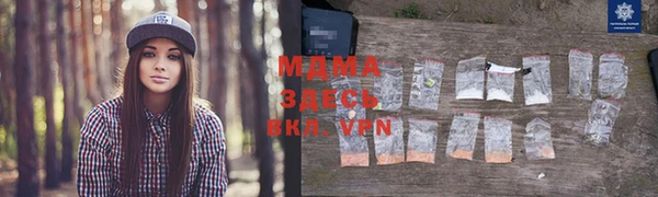 шишки Арсеньев