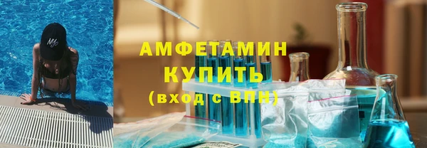 шишки Арсеньев