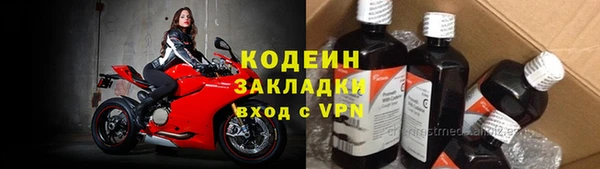 прущие грибы Аркадак