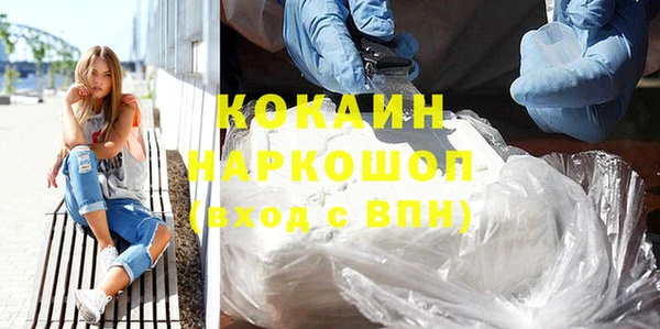 прущие грибы Аркадак