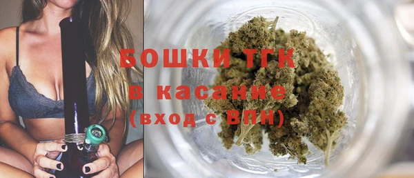 шишки Арсеньев