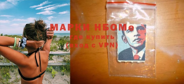 шишки Арсеньев