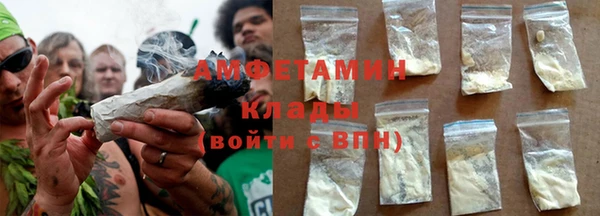 шишки Арсеньев