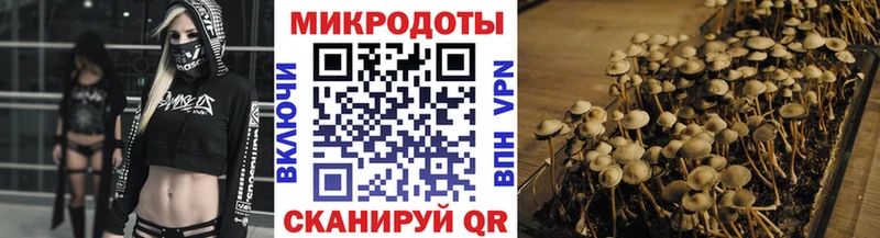 купить   Ахтубинск  Псилоцибиновые грибы Magic Shrooms 